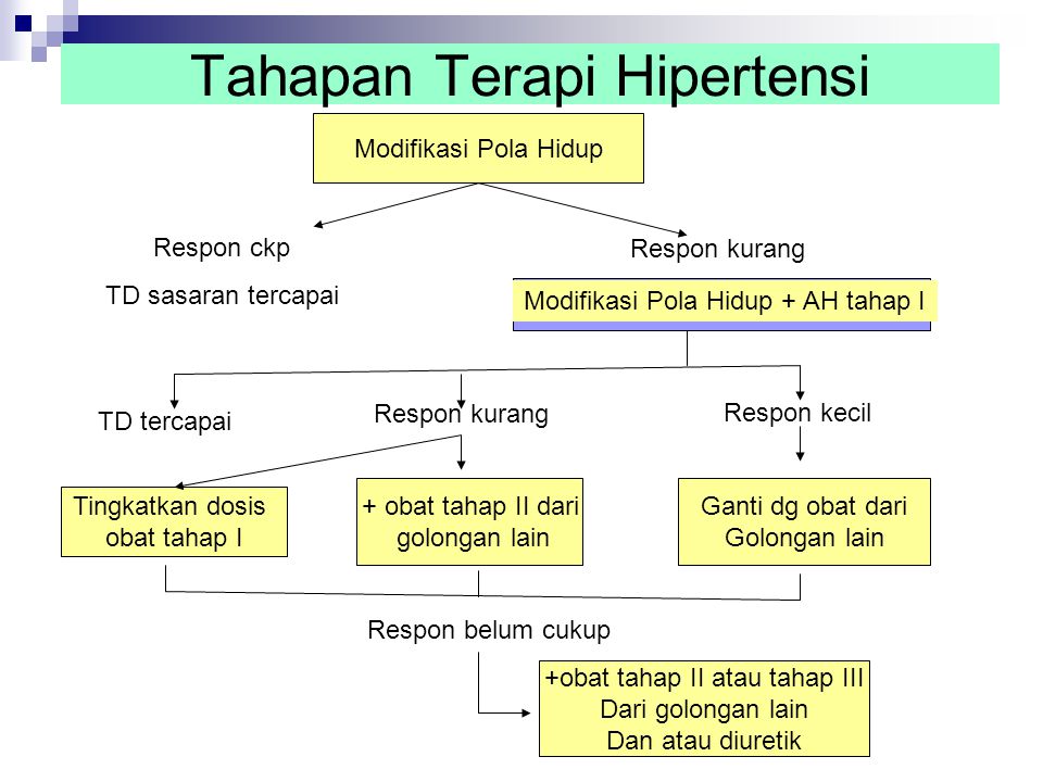 Detail Gambar Pengobatan Hipertensi Nomer 19