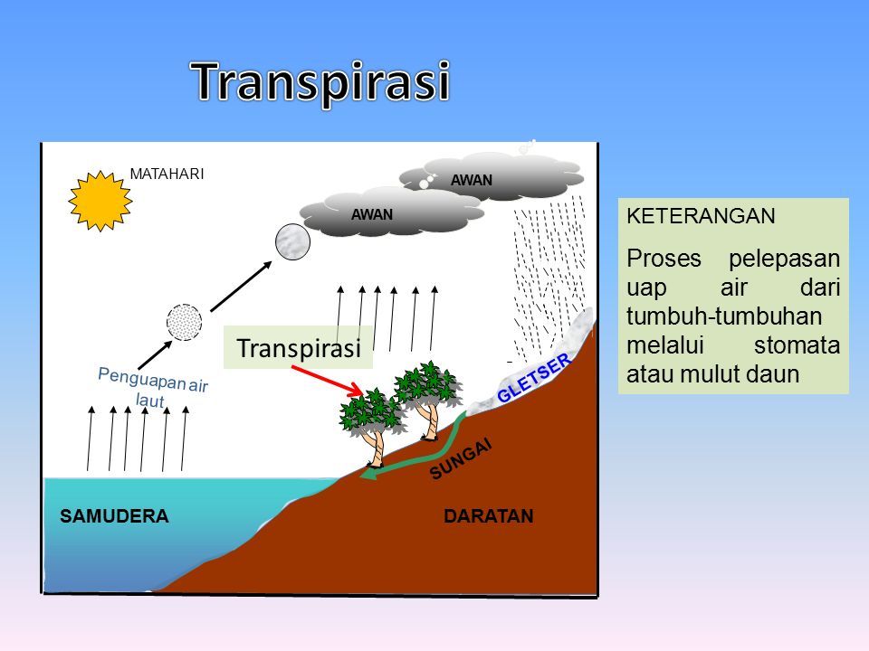 Detail Gambar Penguapan Air Nomer 39