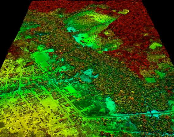 Detail Gambar Pengundulan Hutan 3d Nomer 10