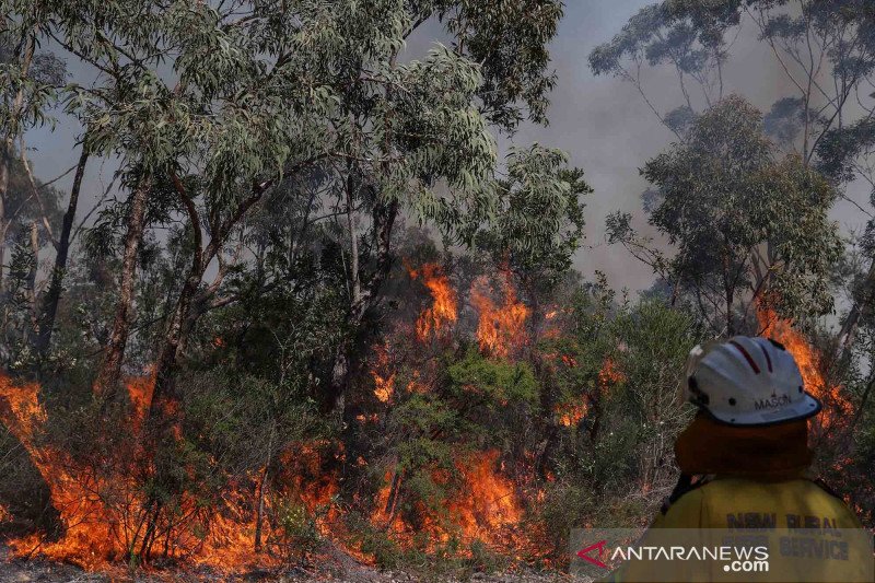 Detail Gambar Pengundulan Hutan 3d Nomer 42