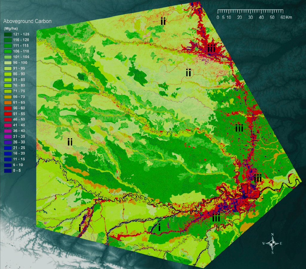 Detail Gambar Pengundulan Hutan 3d Nomer 50