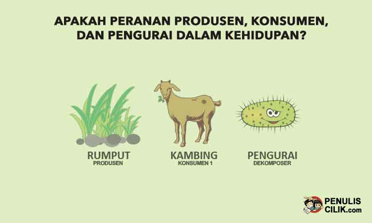 Detail Gambar Pengurai Rantai Makanan Nomer 10