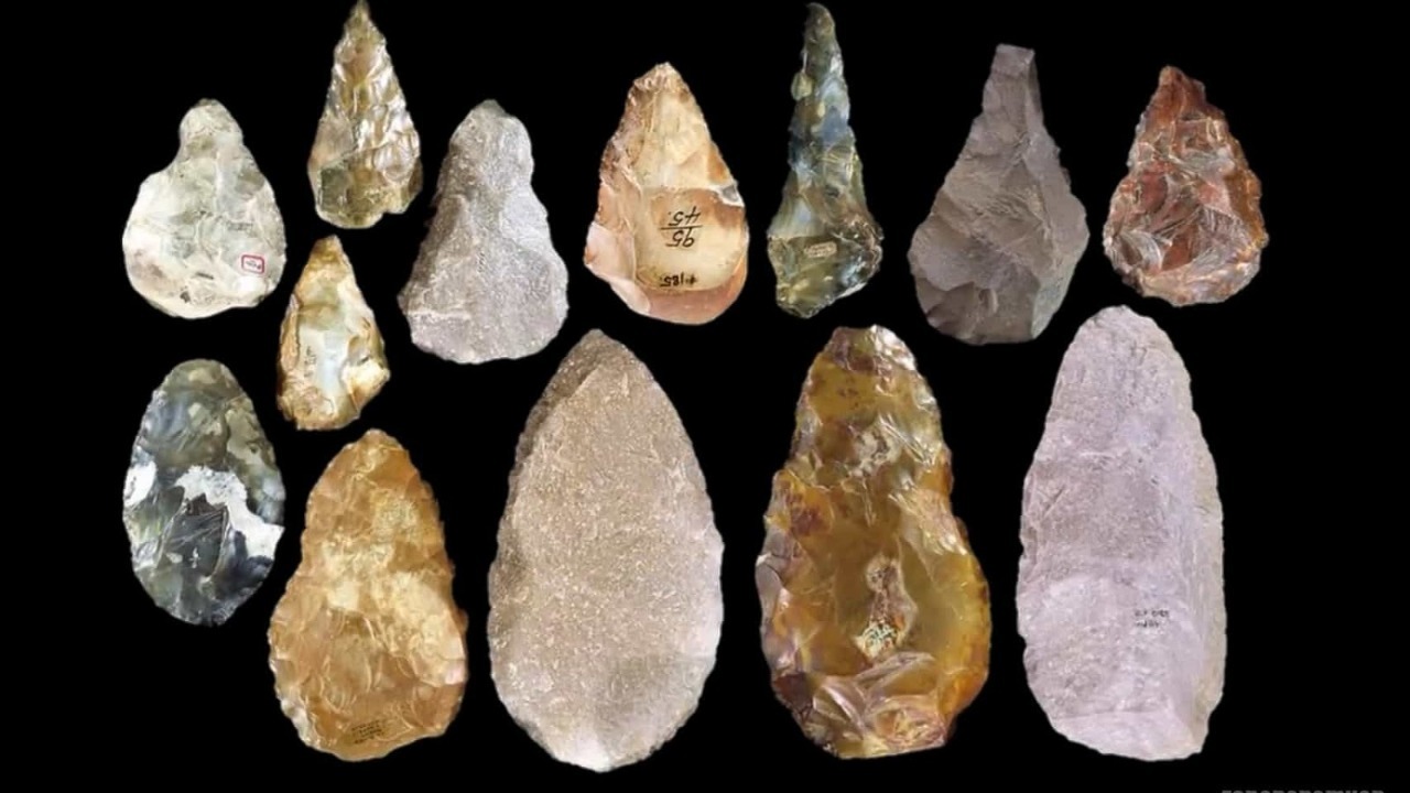 Detail Gambar Peninggalan Zaman Paleolitikum Nomer 5