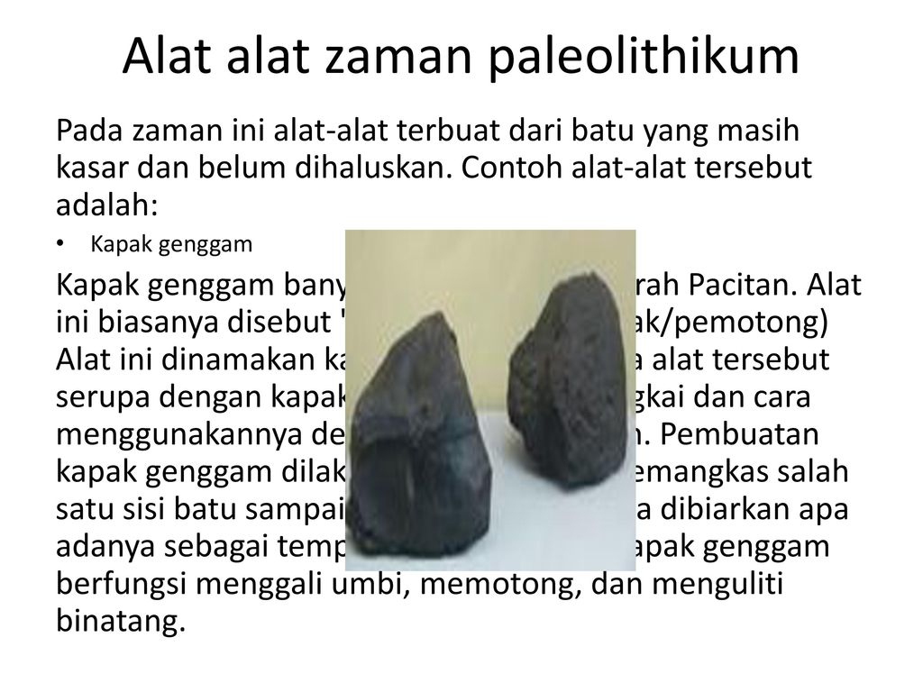 Detail Gambar Peninggalan Zaman Paleolitikum Nomer 47