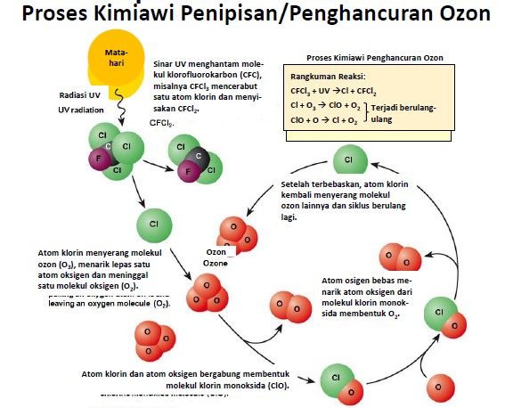 Detail Gambar Penipisan Lapisan Ozon Nomer 16