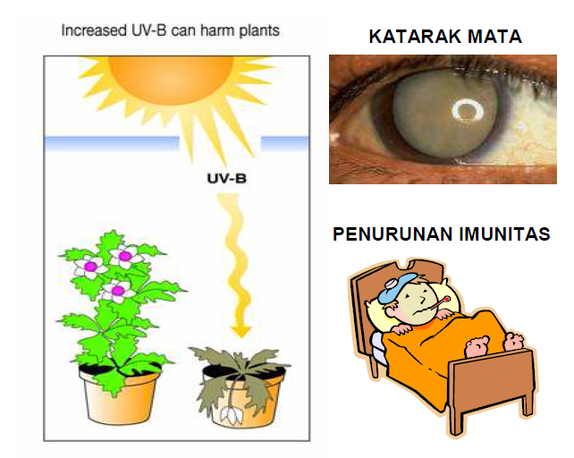 Detail Gambar Penipisan Lapisan Ozon Nomer 27