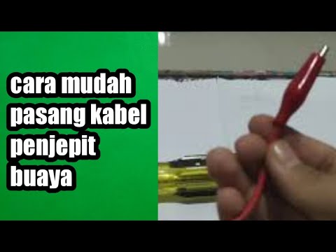 Detail Gambar Penjepit Buaya Nomer 21