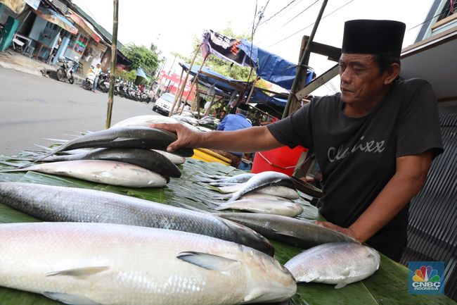 Detail Gambar Penjual Ikan Nomer 27