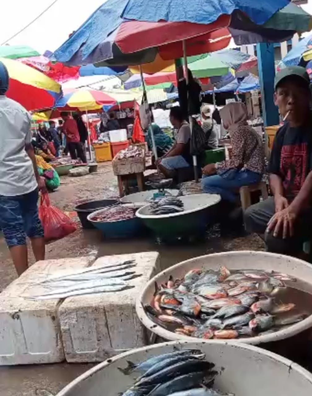 Detail Gambar Penjual Ikan Nomer 44