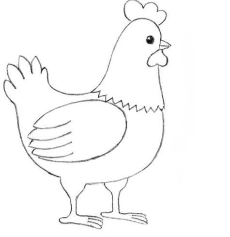 Detail Gambar Pensil Ayam Nomer 7