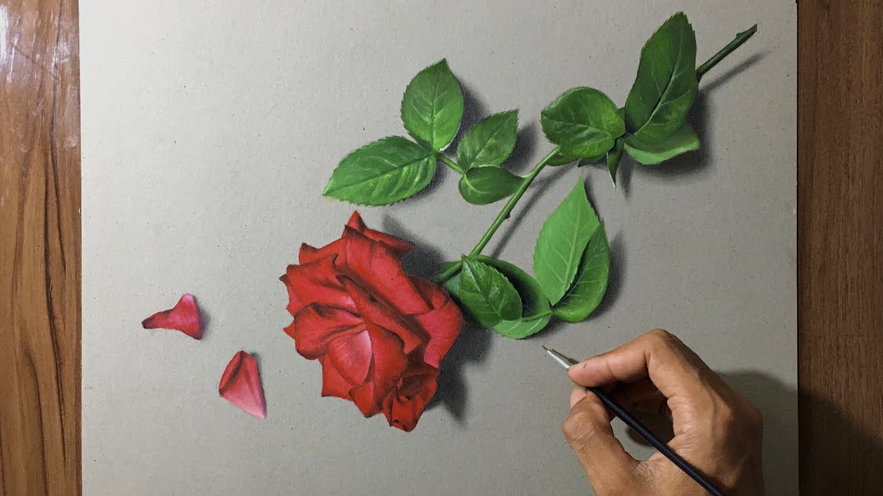Detail Gambar Pensil Bunga Mawar Nomer 50