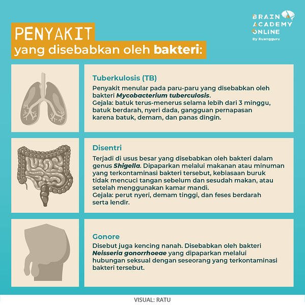 Detail Gambar Penyakit Akibat Bakteri Nomer 18