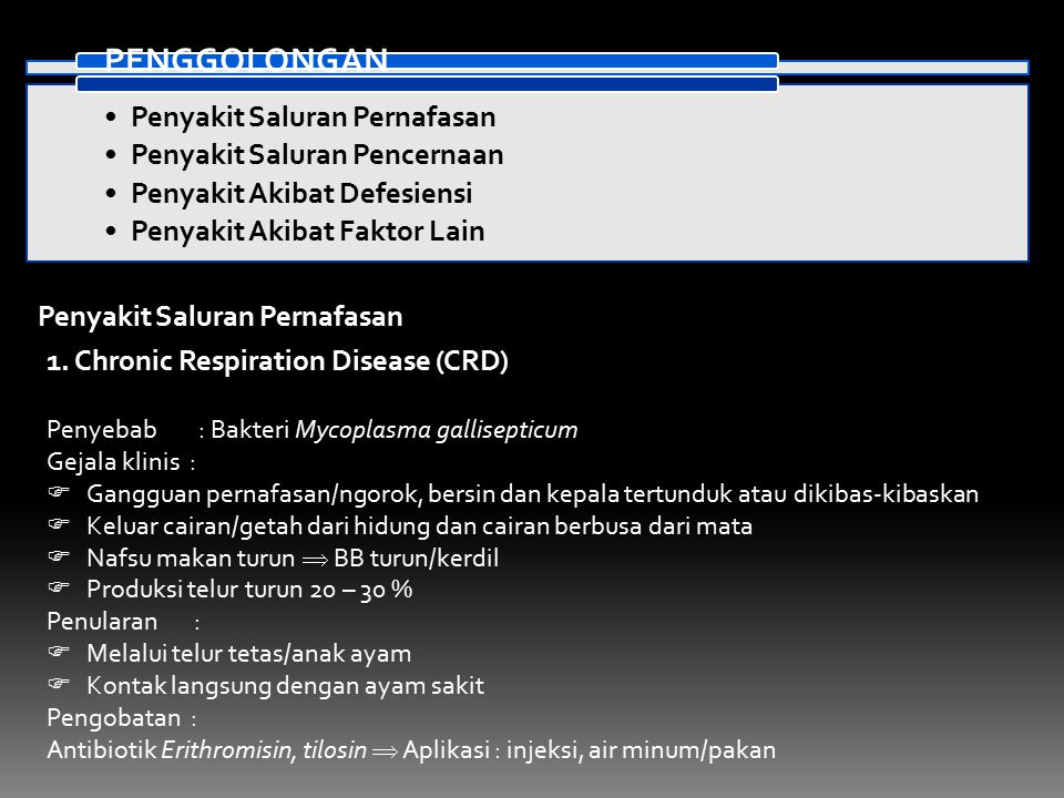 Detail Gambar Penyakit Akibat Bakteri Ppt Nomer 29