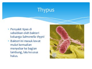 Detail Gambar Penyakit Akibat Bakteri Ppt Nomer 35