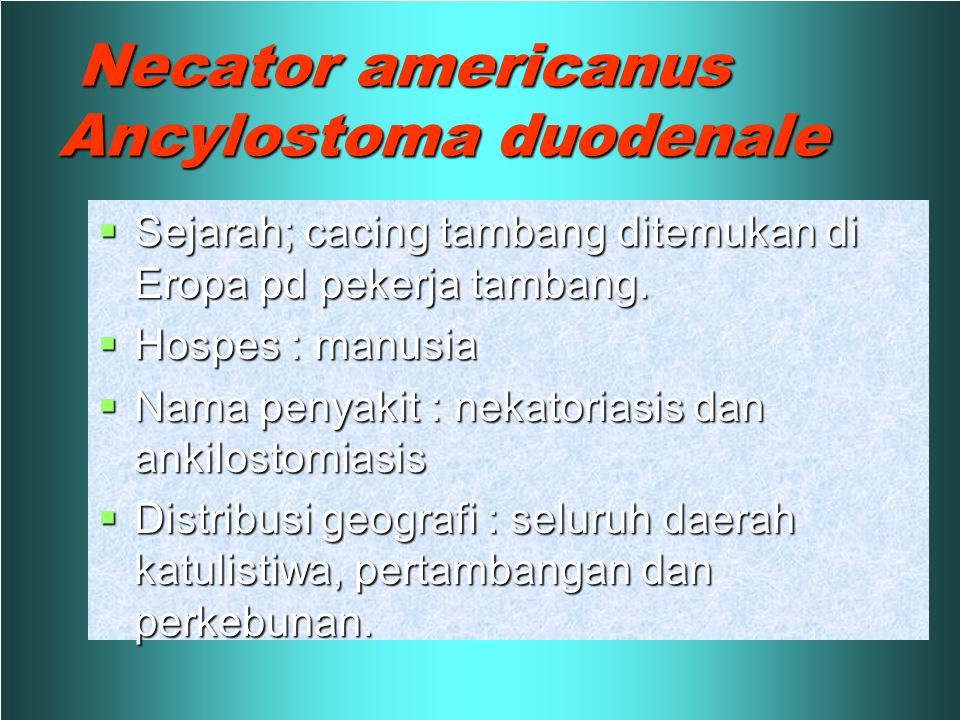 Detail Gambar Penyakit Anchilostomiasis Nomer 26