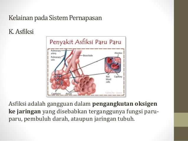 Detail Gambar Penyakit Asfiksi Nomer 9