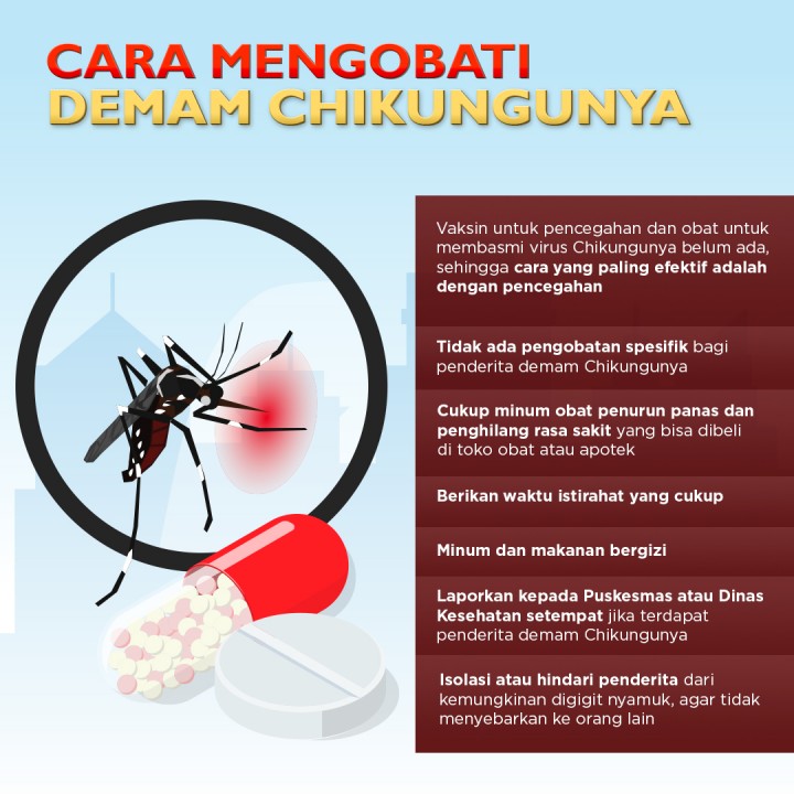 Detail Gambar Penyakit Chikungunya Nomer 19