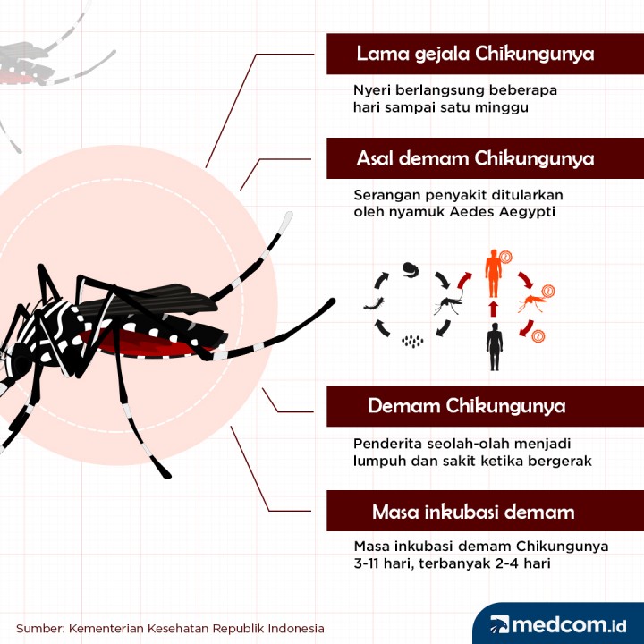 Detail Gambar Penyakit Chikungunya Nomer 24