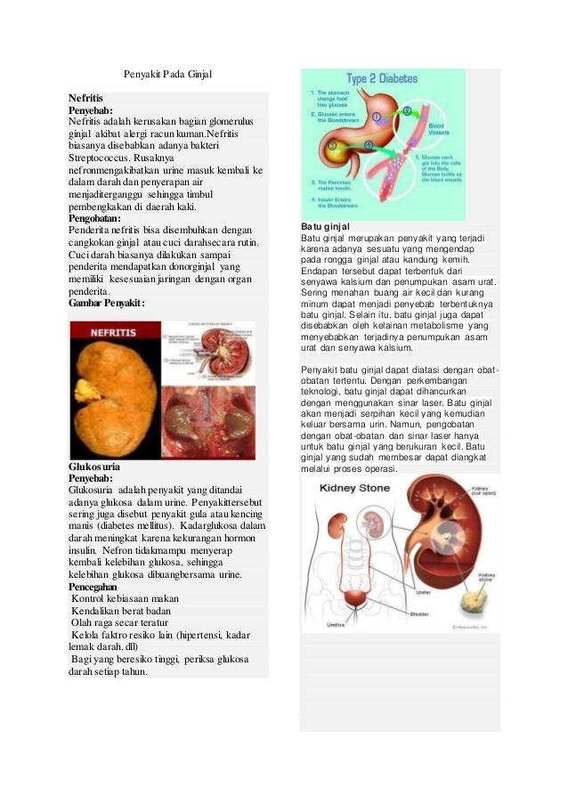 Detail Gambar Penyakit Diabetes Glukosuria Nomer 35