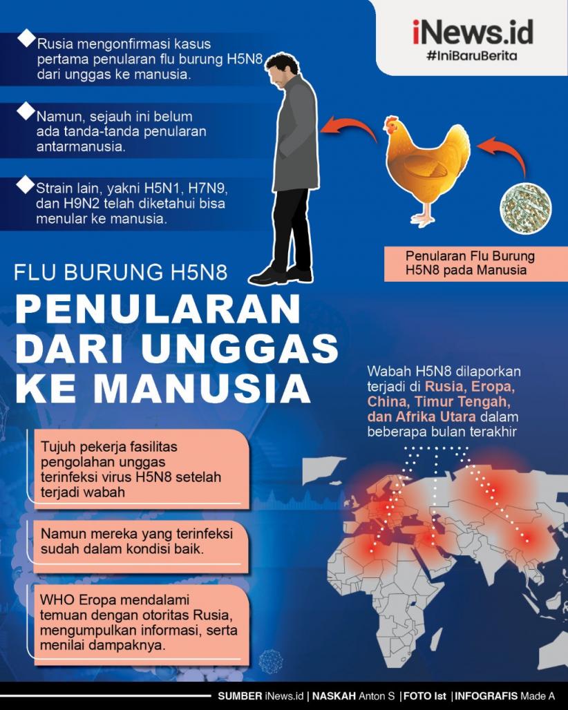 Detail Gambar Penyakit Flu Burung Nomer 27