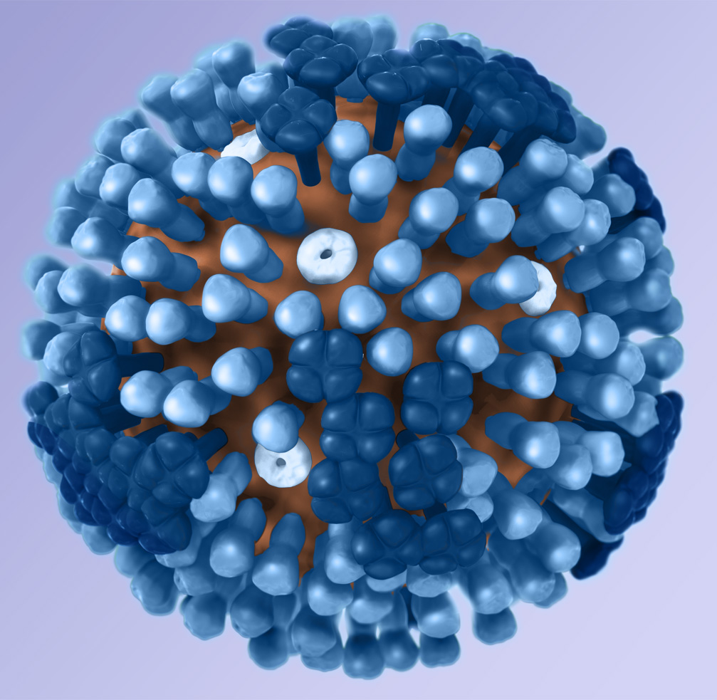 Detail Gambar Penyakit Influenza Nomer 5