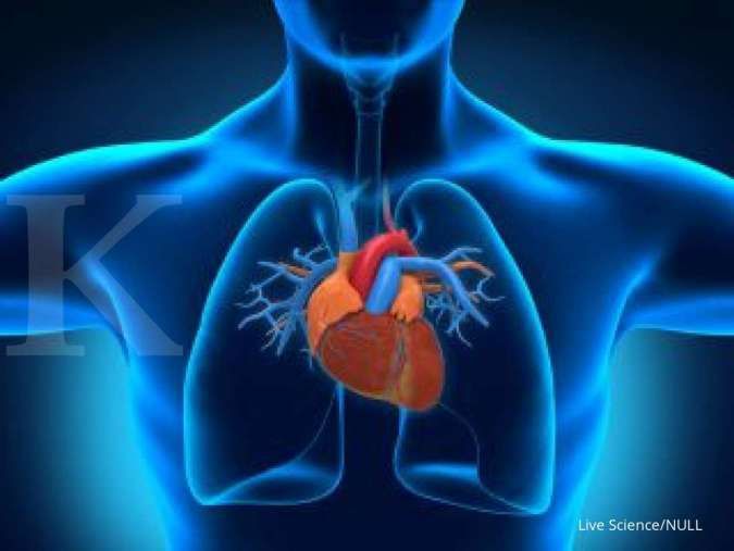 Detail Gambar Penyakit Jantung Nomer 20