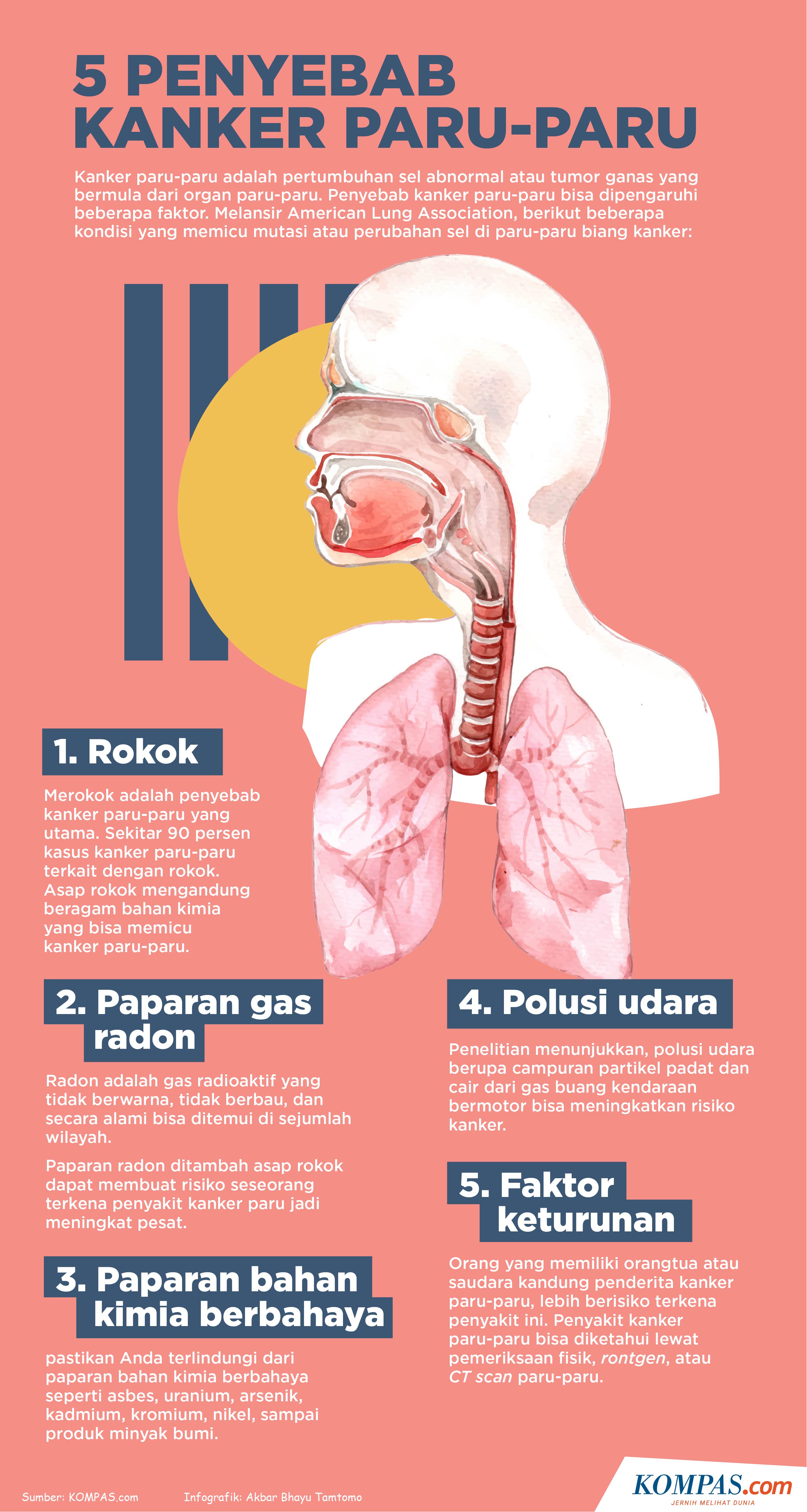 Detail Gambar Penyakit Kanker Paru Paru Nomer 30