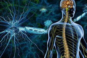 Detail Gambar Penyakit Multiple Sclerosis Nomer 30