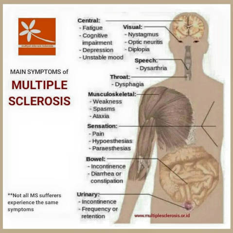 Detail Gambar Penyakit Multiple Sclerosis Nomer 7