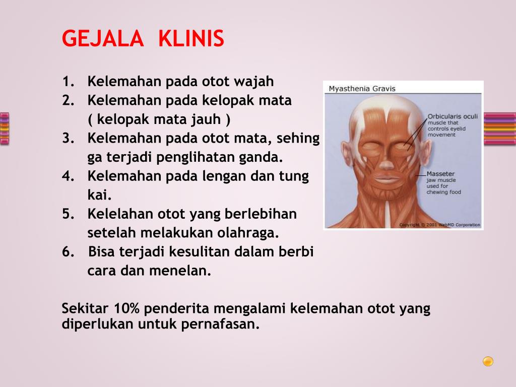 Detail Gambar Penyakit Myasthenia Gravis Nomer 23