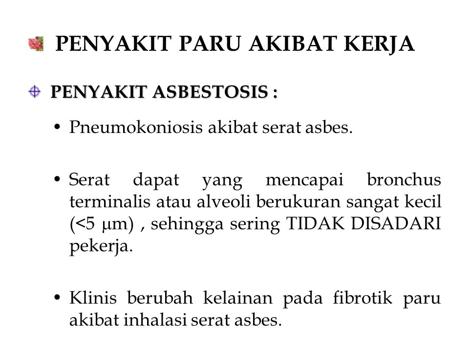 Detail Gambar Penyakit Paru Akibat Pekerjaan Nomer 12