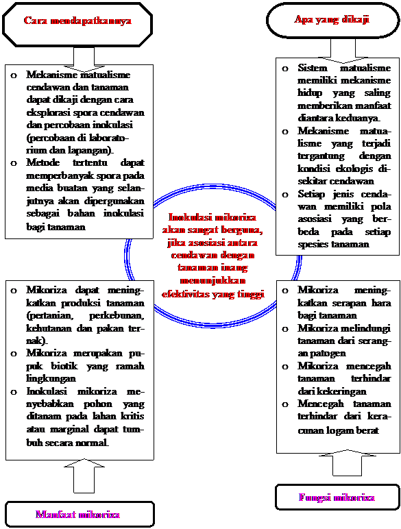 Detail Gambar Penyakit Phytoptora Fragariae Nomer 16