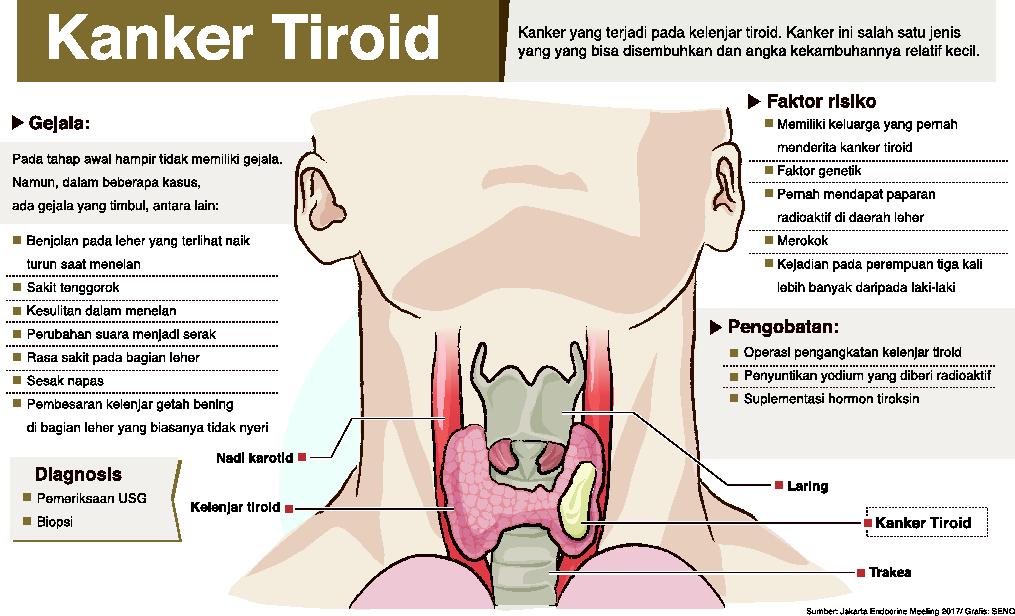 Detail Gambar Penyakit Tiroid Di Leher Nomer 16