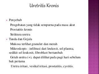 Detail Gambar Penyakit Uretritis Nomer 38