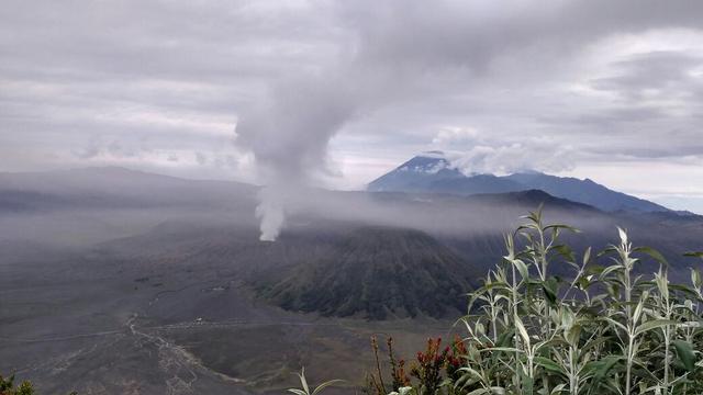 Detail Gambar Penyebab Meletusnya Gunung Bromo Dan Solusinya Nomer 30