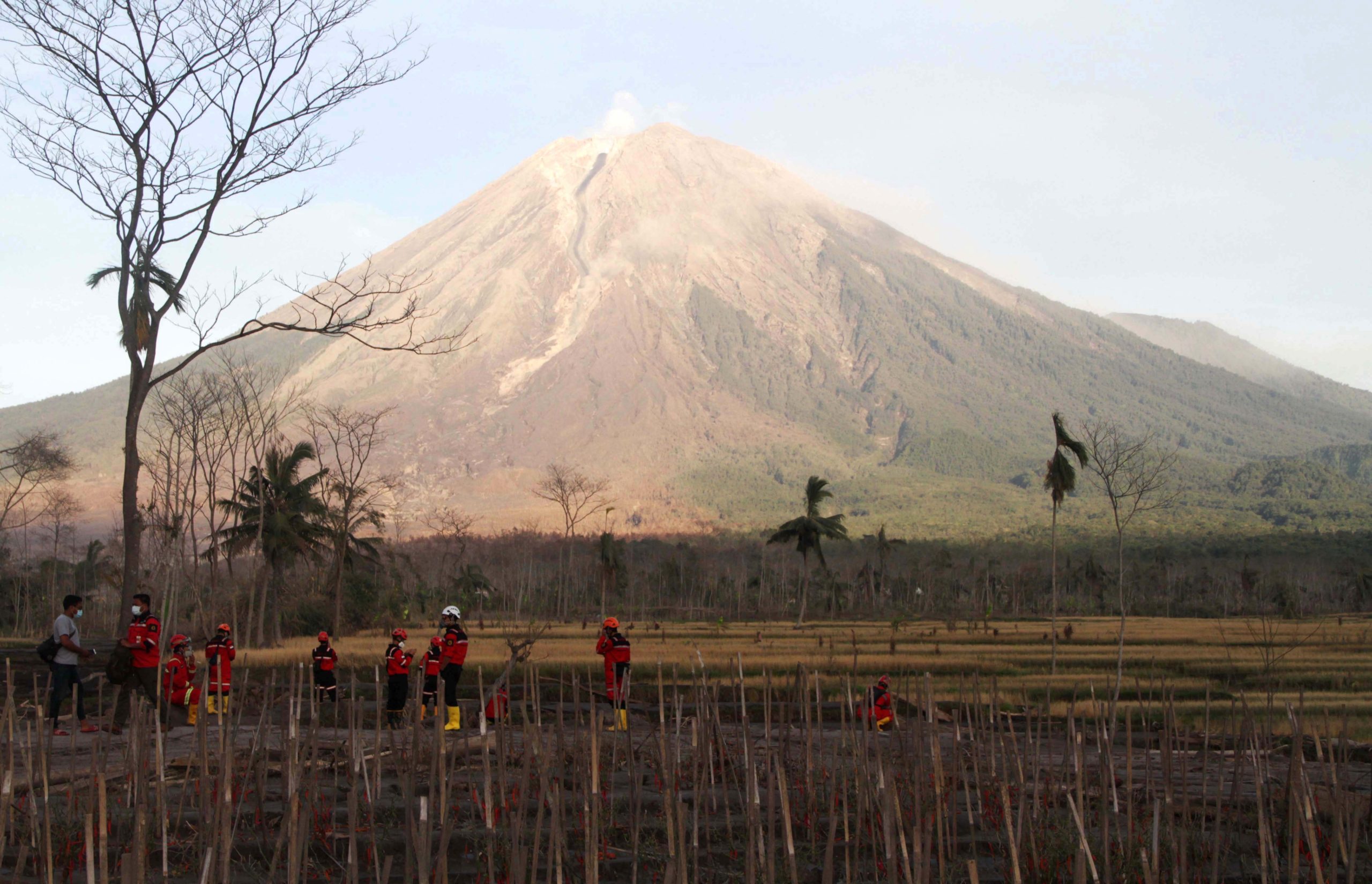 Detail Gambar Penyebab Meletusnya Gunung Bromo Dan Solusinya Nomer 45