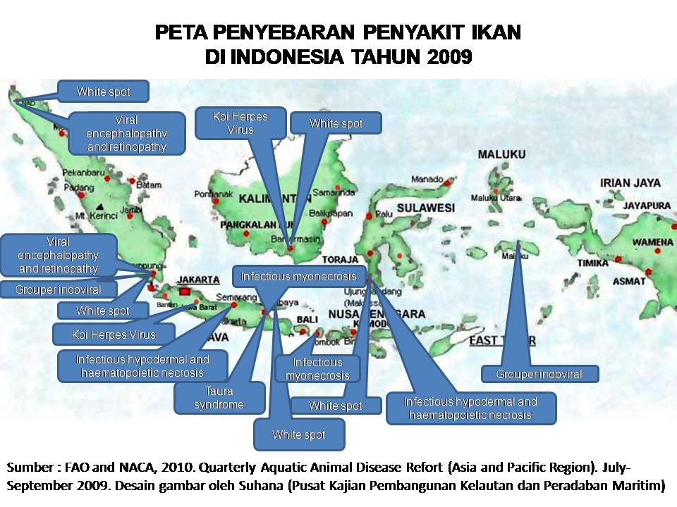 Detail Gambar Penyebaran Hutan Nomer 48