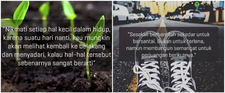 Detail Gambar Penyejuk Hati Nomer 33