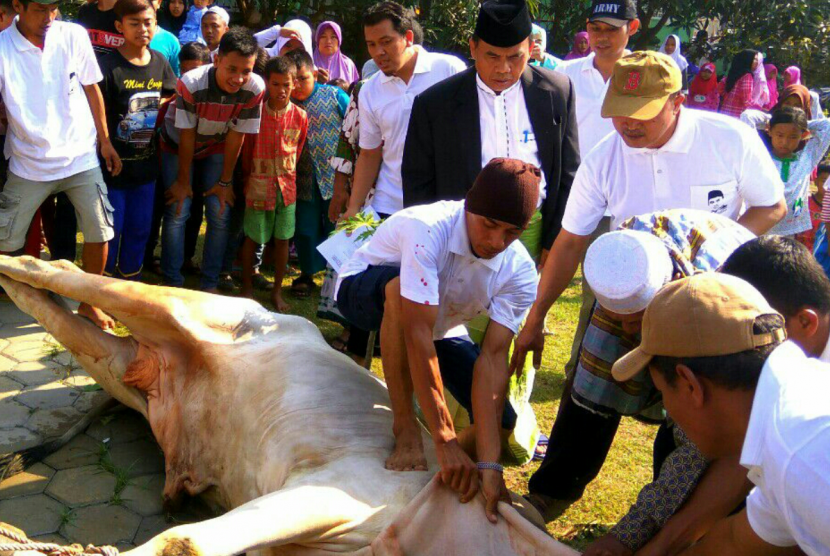 Detail Gambar Penyembelihan Hewan Qurban Nomer 10