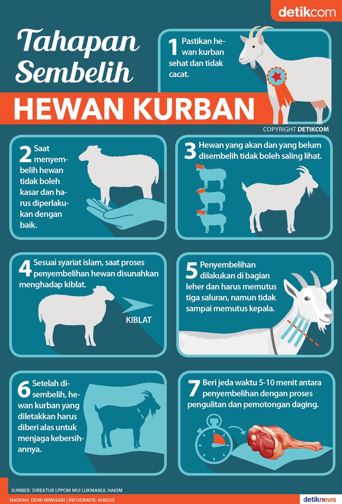 Detail Gambar Penyembelihan Hewan Qurban Nomer 46