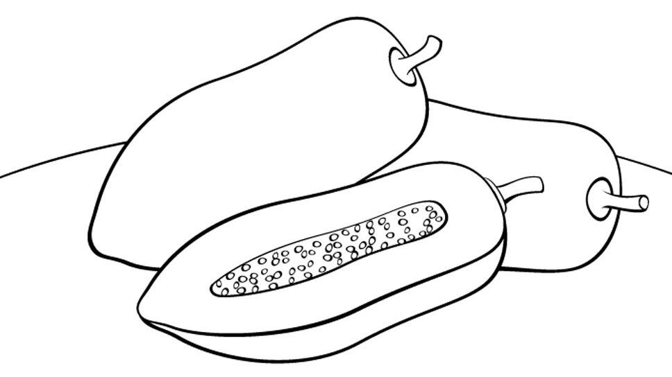 Detail Gambar Pepaya Untuk Anak Tk Nomer 18