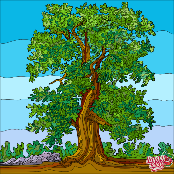Detail Gambar Pepohonan Kartun Nomer 23