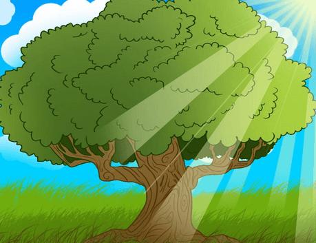 Detail Gambar Pepohonan Kartun Nomer 42