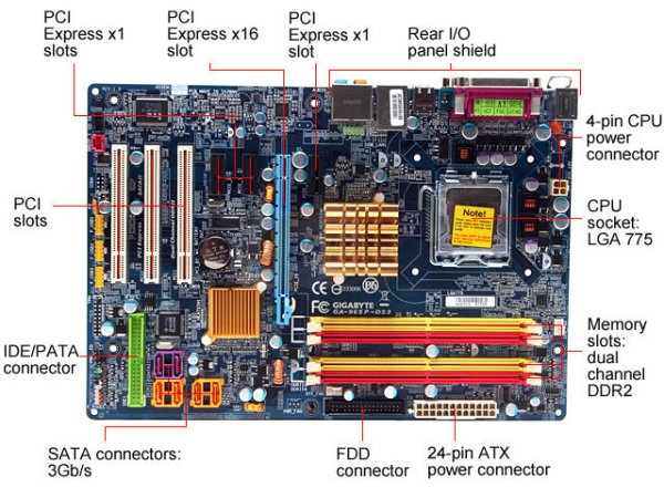 Detail Gambar Perakitan Pc Gambar Perakitan Pc Pasang Procesor Nomer 8