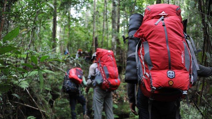 Detail Gambar Peralatan Mendaki Gunung Nomer 22