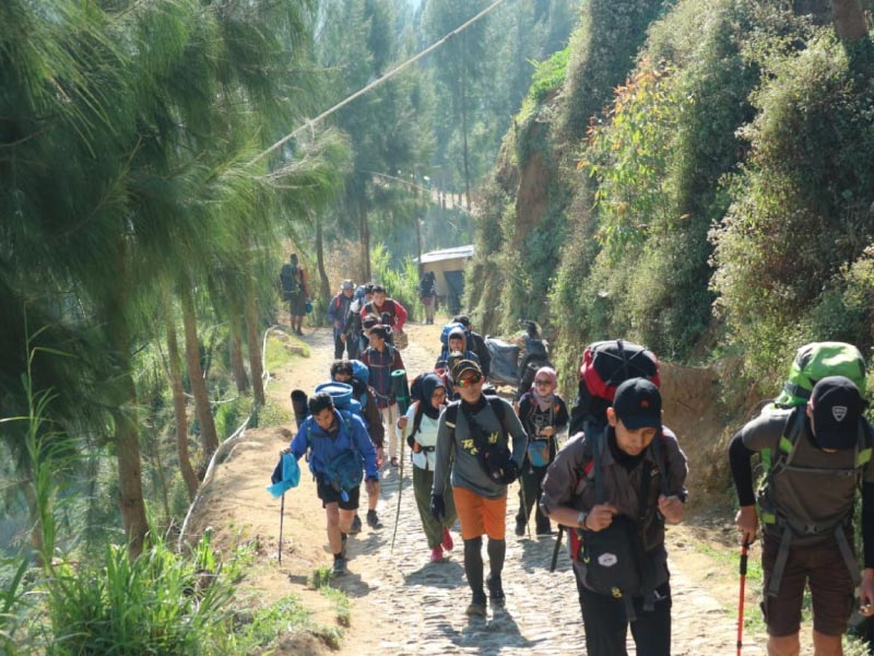 Detail Gambar Peralatan Mendaki Gunung Nomer 31