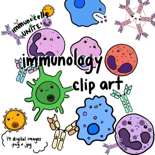 Detail Antibody Clipart Nomer 15