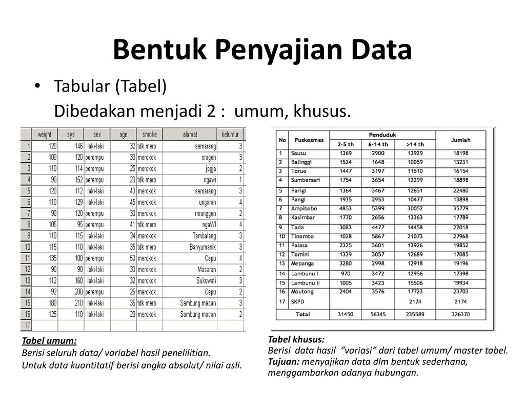 Detail Contoh Tabel Data Nomer 14