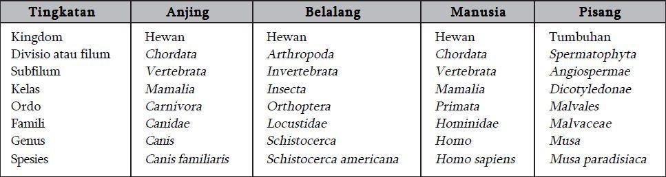 Detail Contoh Tabel Klasifikasi Nomer 17