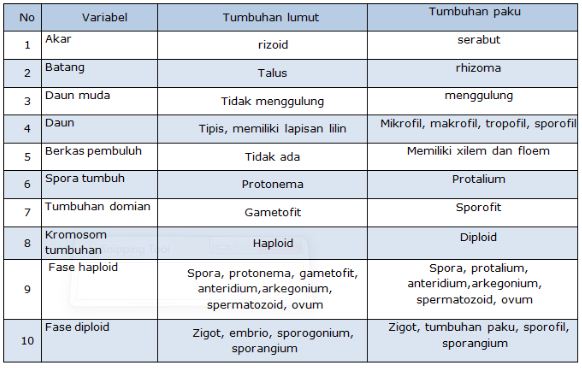 Detail Contoh Tabel Perbandingan Nomer 34